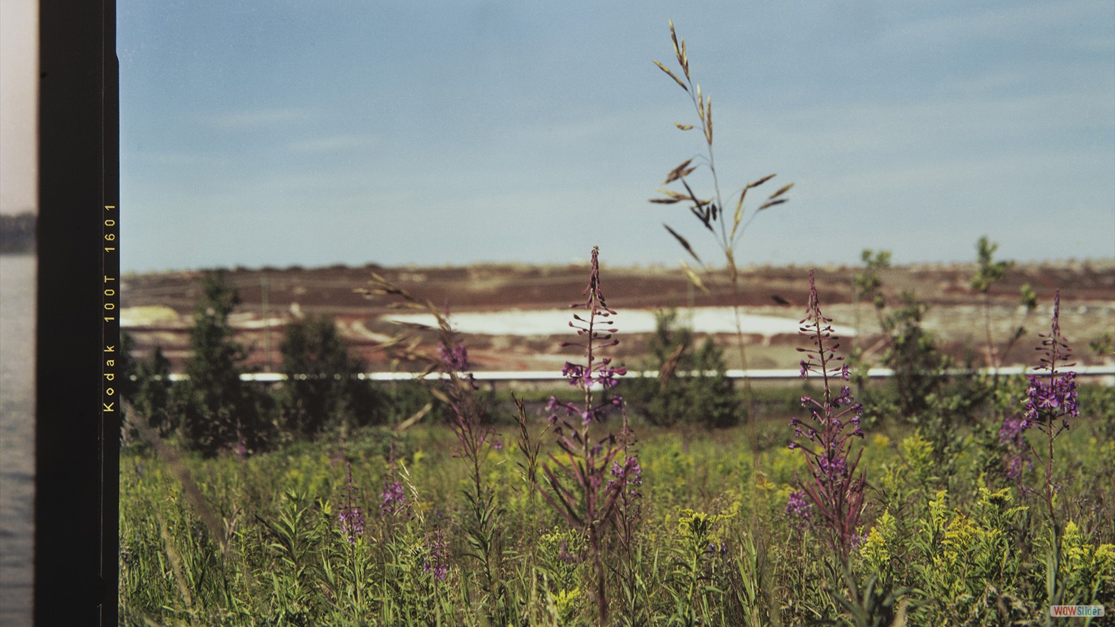 Esquisses et rêverie pour un jardin en devenir, Catherine Tremblay, 2026, Crédits photo Paul Cimon