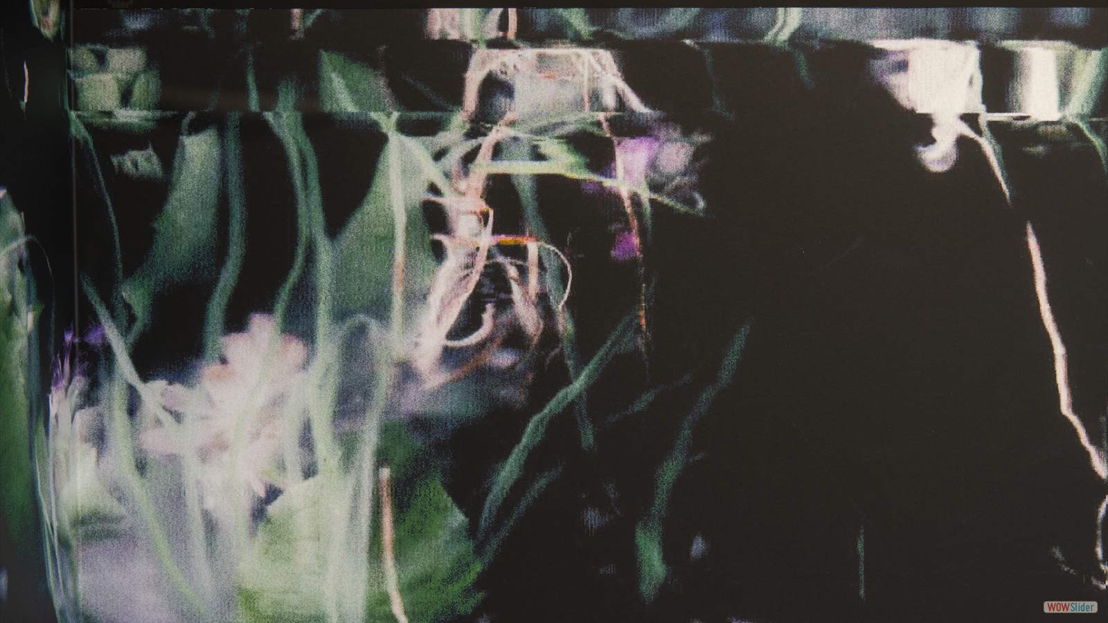 Esquisses et rêverie pour un jardin en devenir, Catherine Tremblay, 2026, Crédits photo Paul Cimon