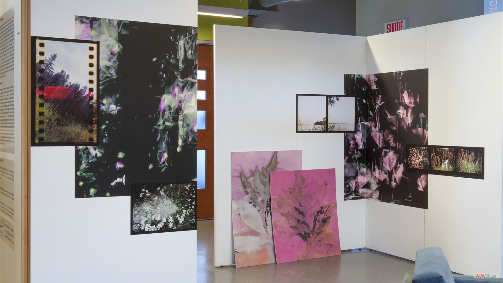 Esquisses et rêverie pour un jardin en devenir, Catherine Tremblay, 2026, Crédits photo Paul Cimon