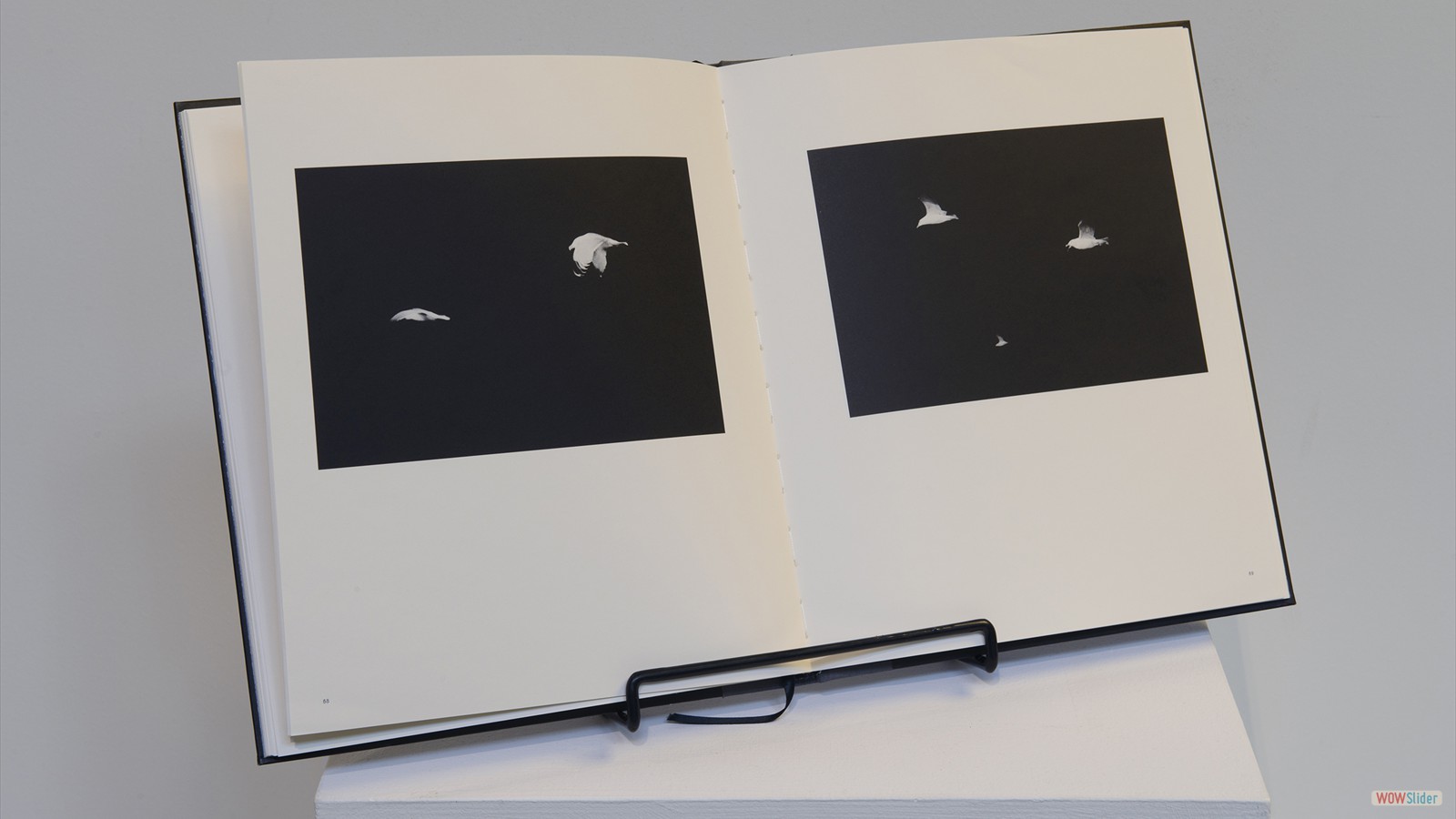 Sans titre, de la série Le Naufrage (2010-2016) Charles-Frédérick Ouellet, crédit : Paul Cimon